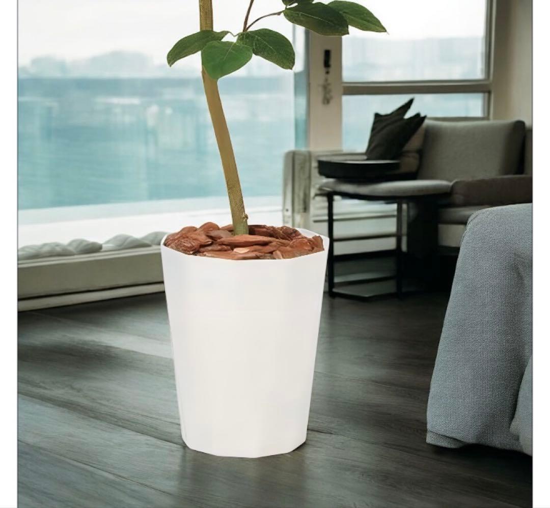 光触媒　人工観葉植物　ウォールグリーン　フェイクグリーン　ベンガルボダイジュFS