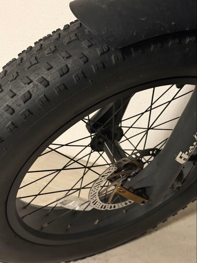 FLOW BIKE フローバイク 正規品