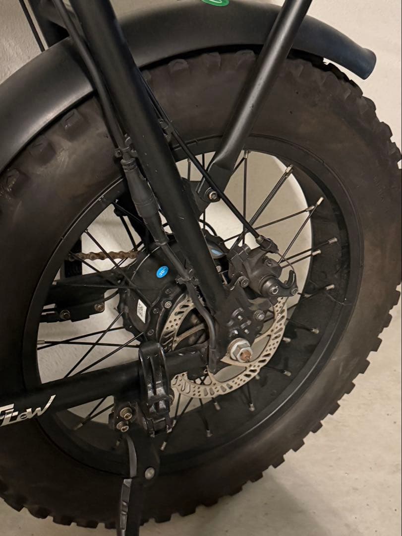 FLOW BIKE フローバイク 正規品