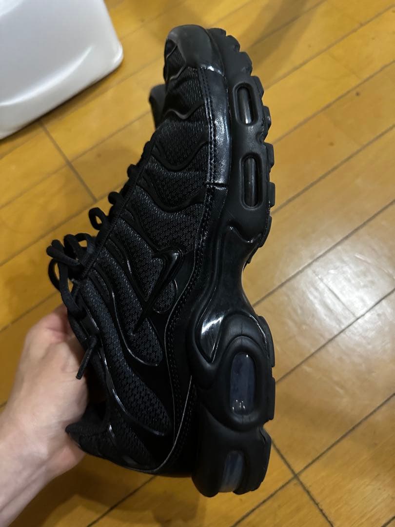 Air max plus トリプルブラック　28cm