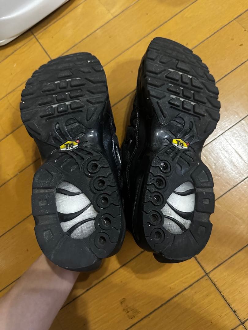 Air max plus トリプルブラック　28cm