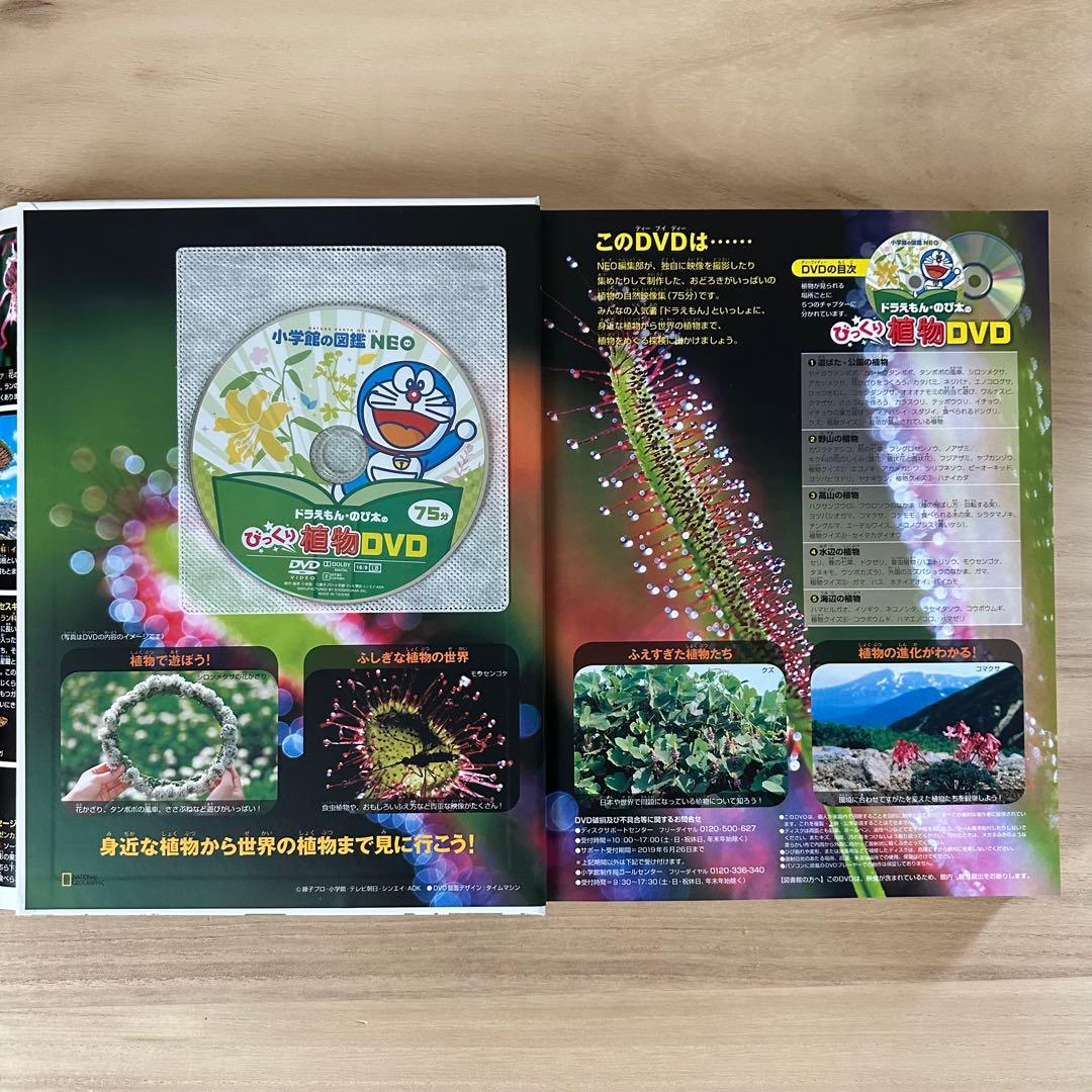 小学館の図鑑 NEO 【DVDつき】 8冊セット