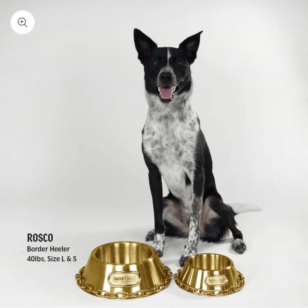 スヌープドッグ　お皿　フードボール　金色　Lサイズ　カッコイイ　犬　コラボ