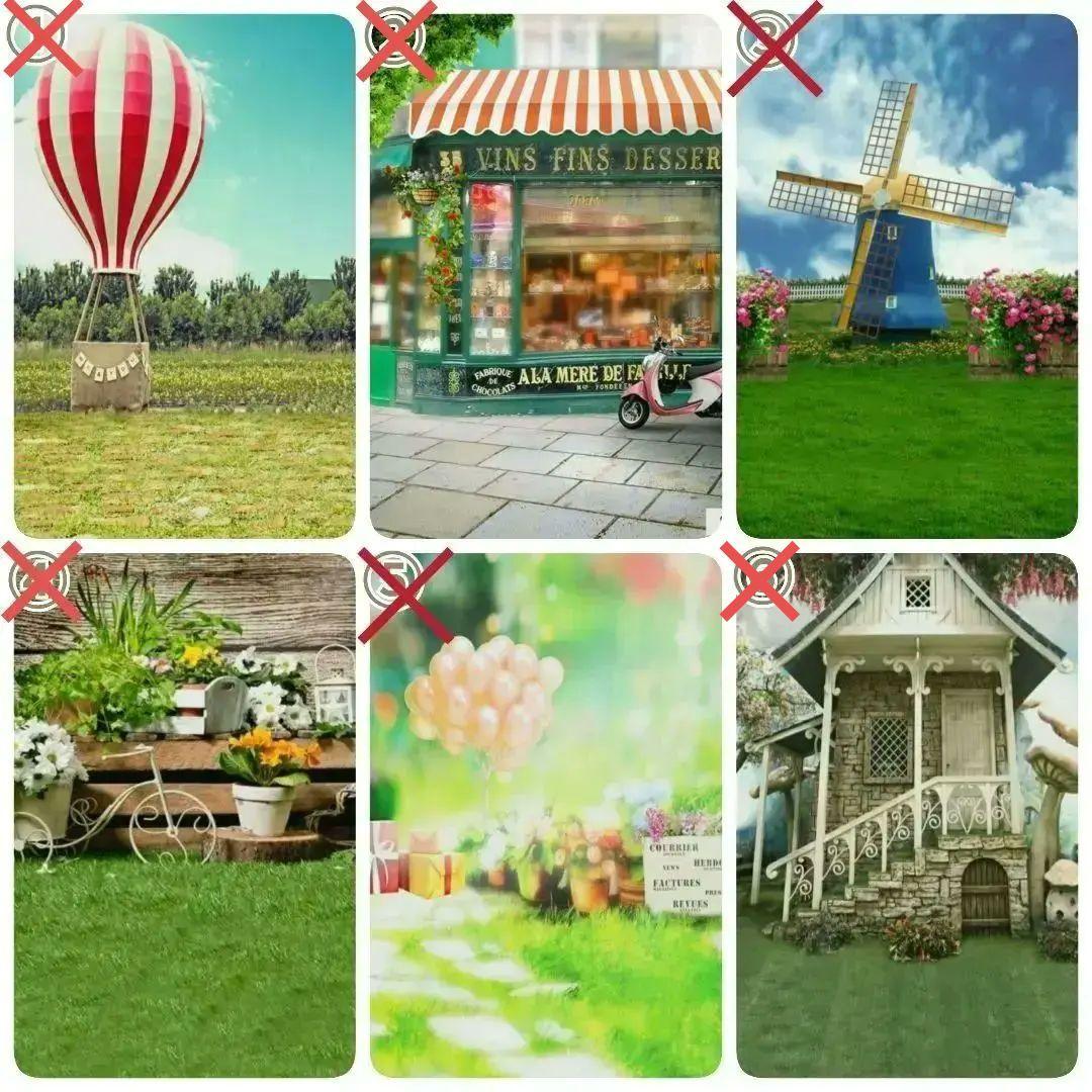 背景布【　ガーデンF　】ペット撮影用フォトブース　トリミングサロン