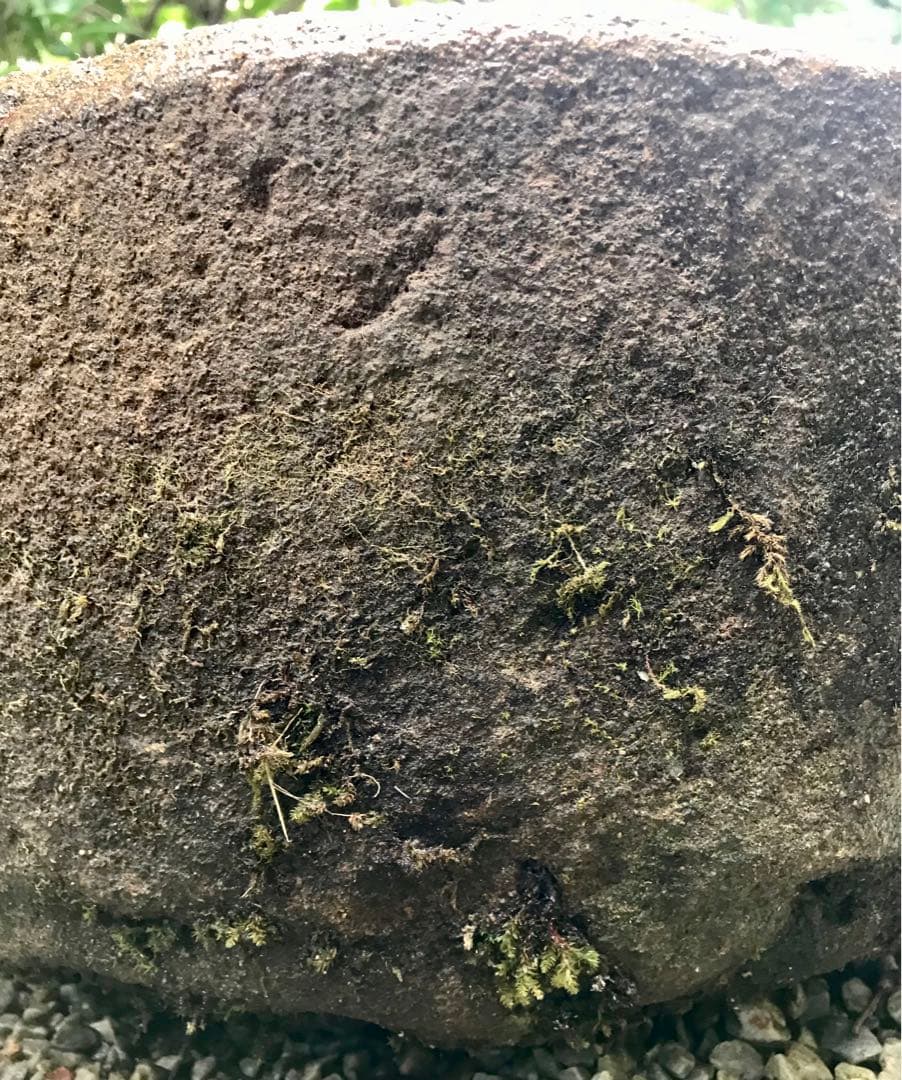 更に値下げ中天然自然石・水鉢・蹲・庭石・バードバス・オブジェ・ガーデニング