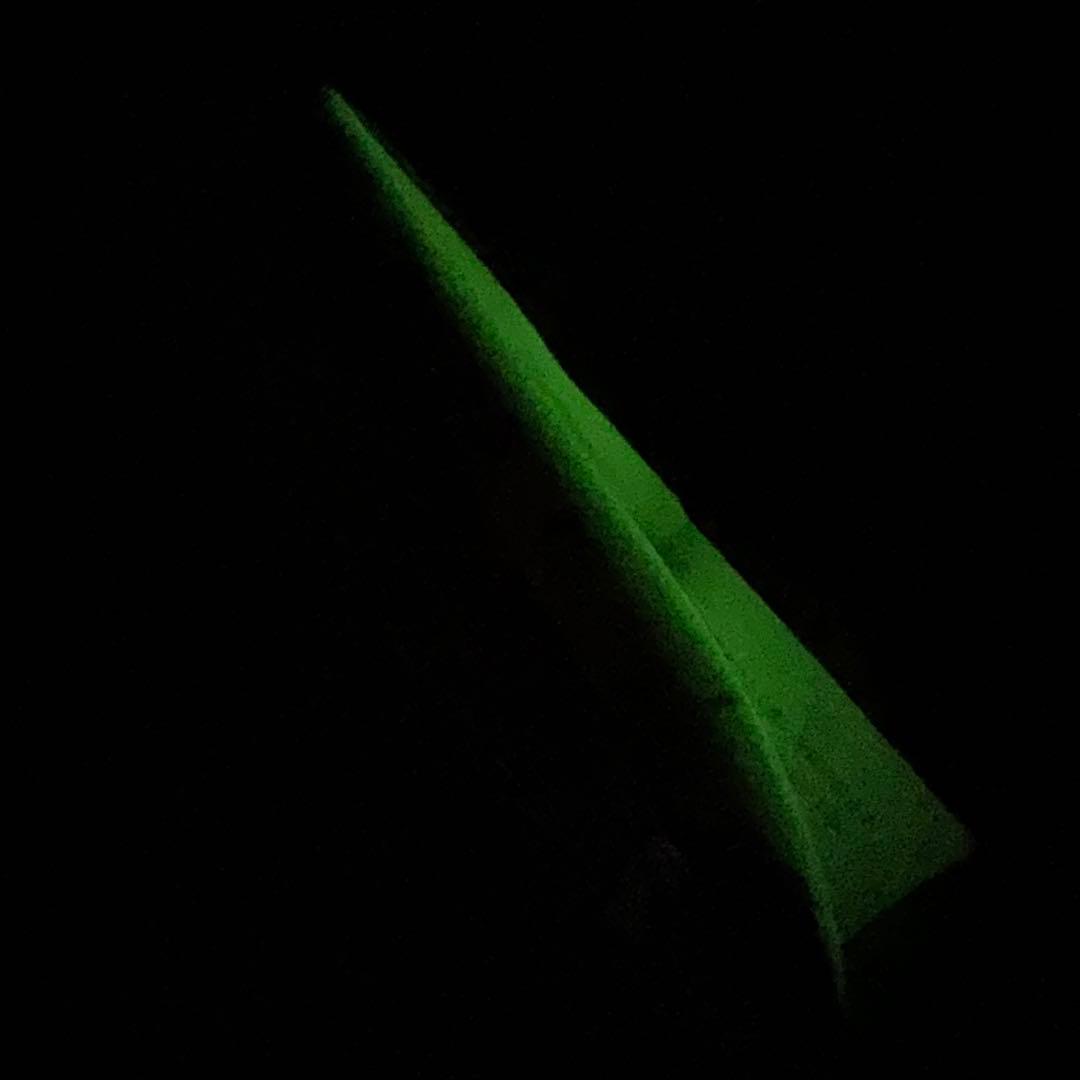 カーペンター KZ 60th90-200Limited 限定ガンマ夜明るい