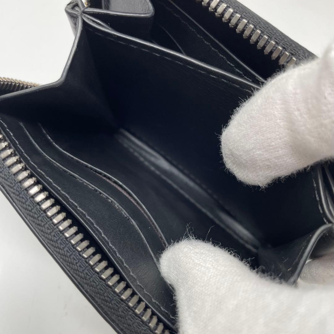 BERLUTI パース ワパス スクリット ケースe30