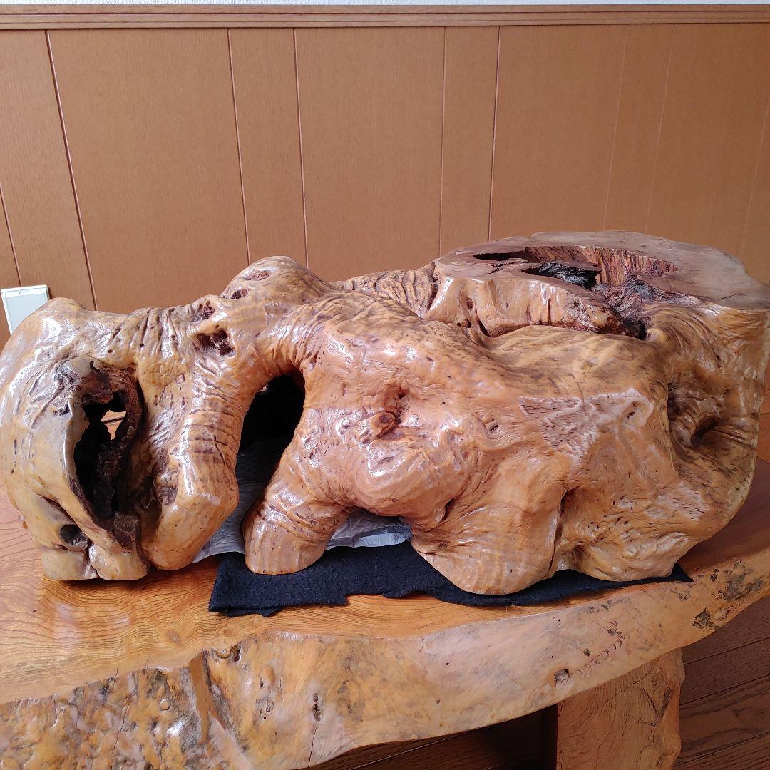 年代物の観賞木