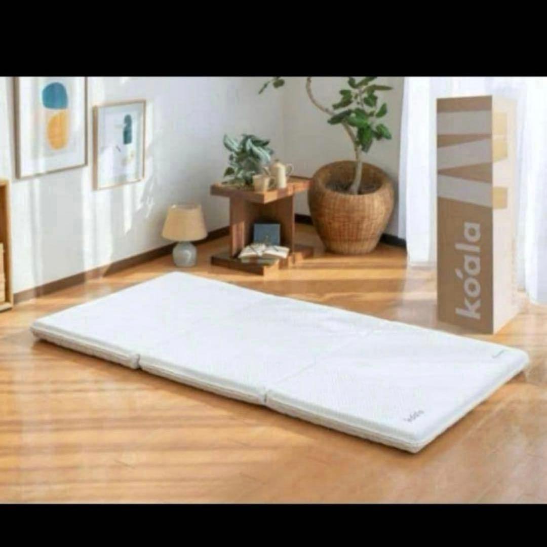 2個　koala コアラフトン OASIS