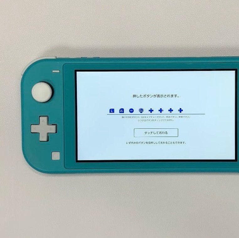 Nintendo Switch Lite 本体 動作品 2019