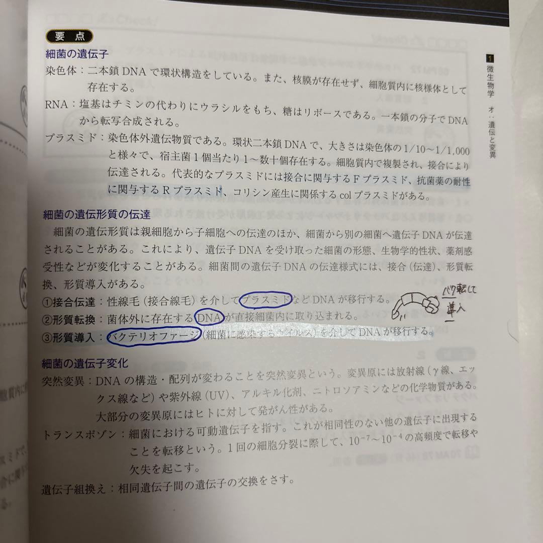 臨床検査技師国家試験解説集 Complete+MT 2025 9冊セット