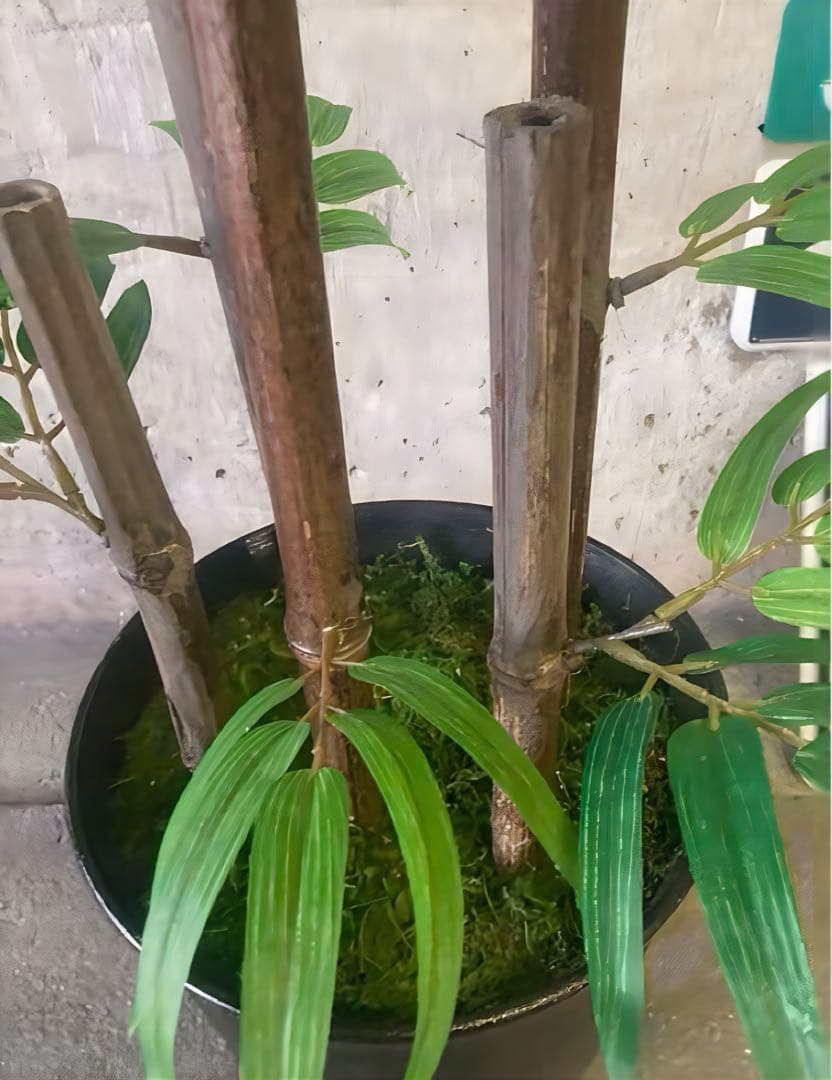 光触媒　人工観葉植物　ウォールグリーン　フェイクグリーン　黒竹105gj