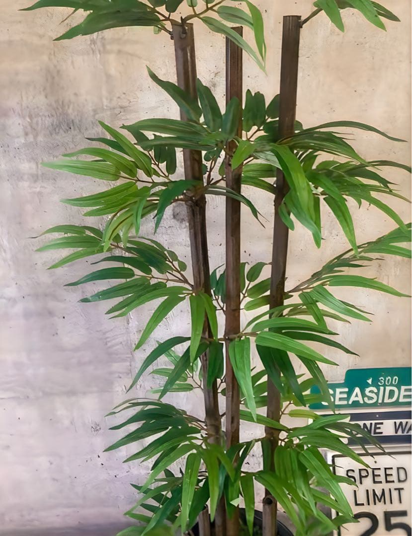 光触媒　人工観葉植物　ウォールグリーン　フェイクグリーン　黒竹105gj
