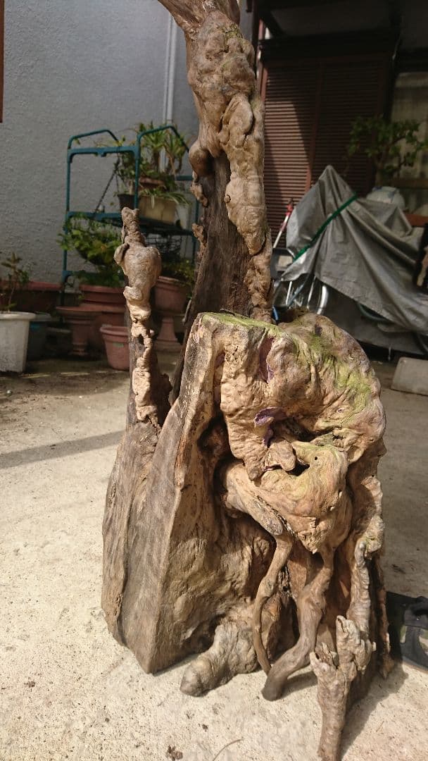 猿の腰掛けが覆われている、木の置物