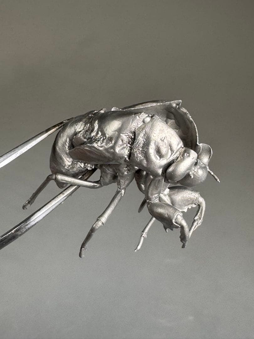 蝉　蝉の抜け殻　セミ　オブジェ　虫好き　金属製　標本