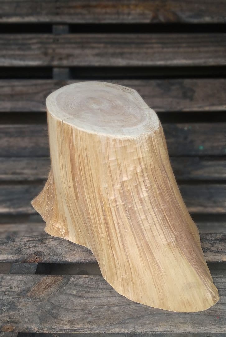 Nebari シリーズ　切り株丸太椅子　特選001