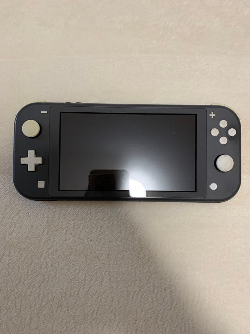 任天堂 Nintendo Switch Lite 本体 グレー【人気商品】