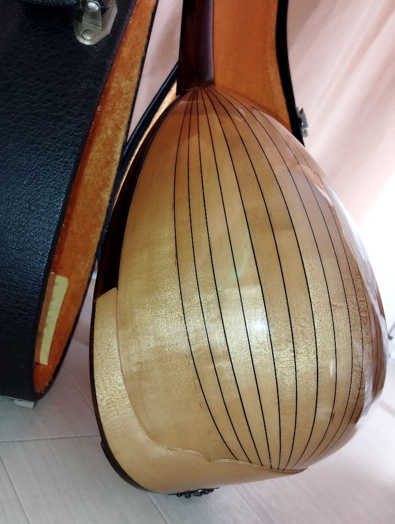 【美品】SUZUKI M-30マンドリン 8弦 ハードケース付き