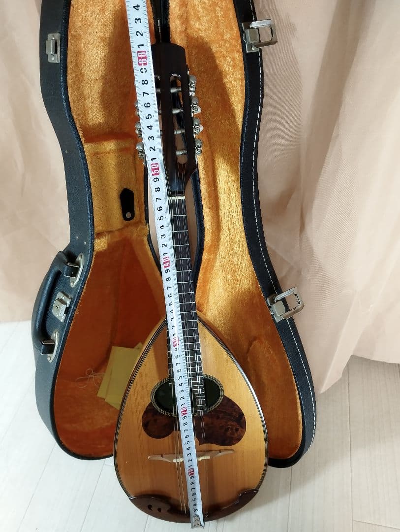 【美品】SUZUKI M-30マンドリン 8弦 ハードケース付き