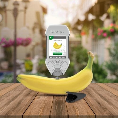 SOEKS ガイガーカウンター