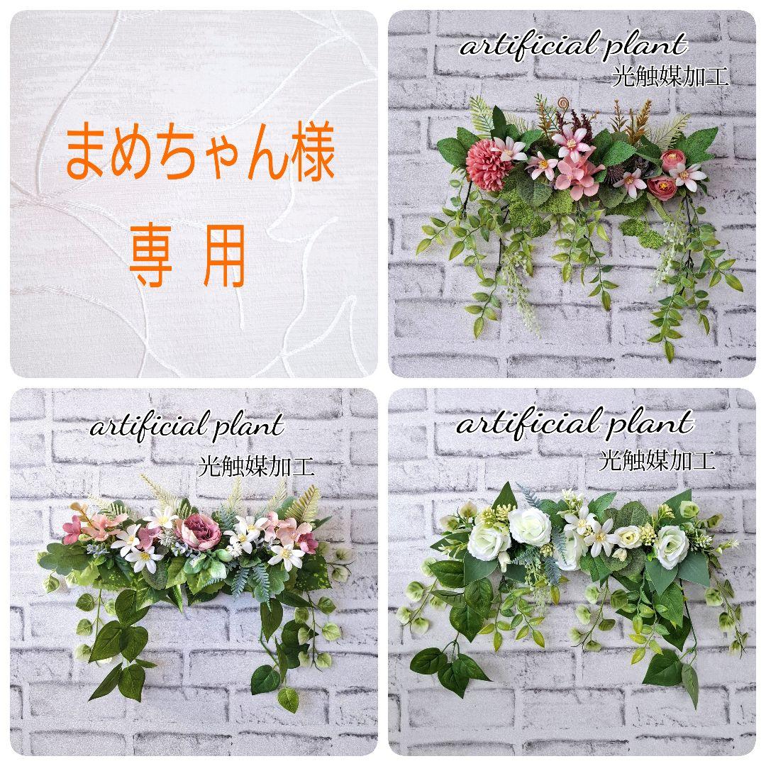 【まめちゃん】光触媒加工　ウォールグリーン３点