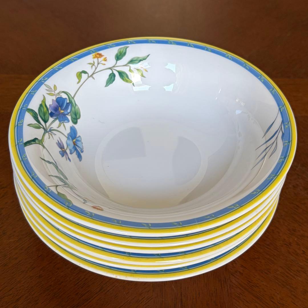 【レア美品】英国製　ロイヤルウースター★PASTRALE★サラダボウル6個