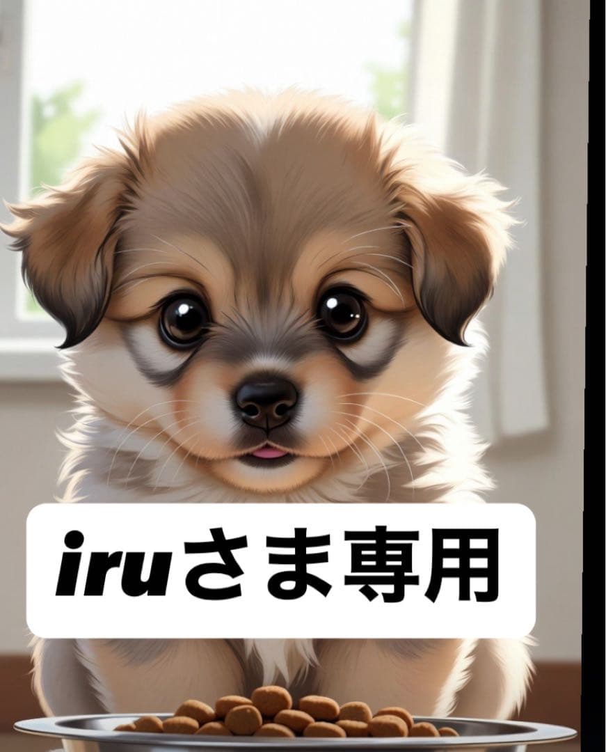 iruさま専用①