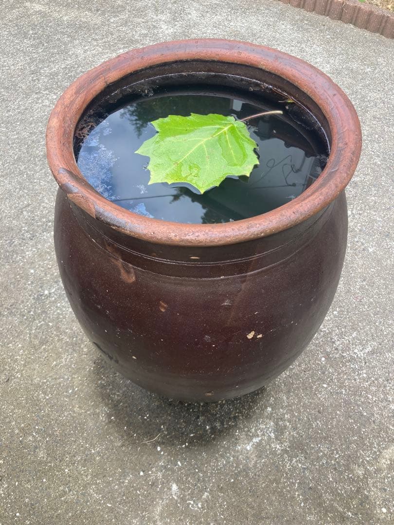 存在感抜群！時代物 陶器の大型甕 古い壺 。茶褐色。和モダン 62センチ