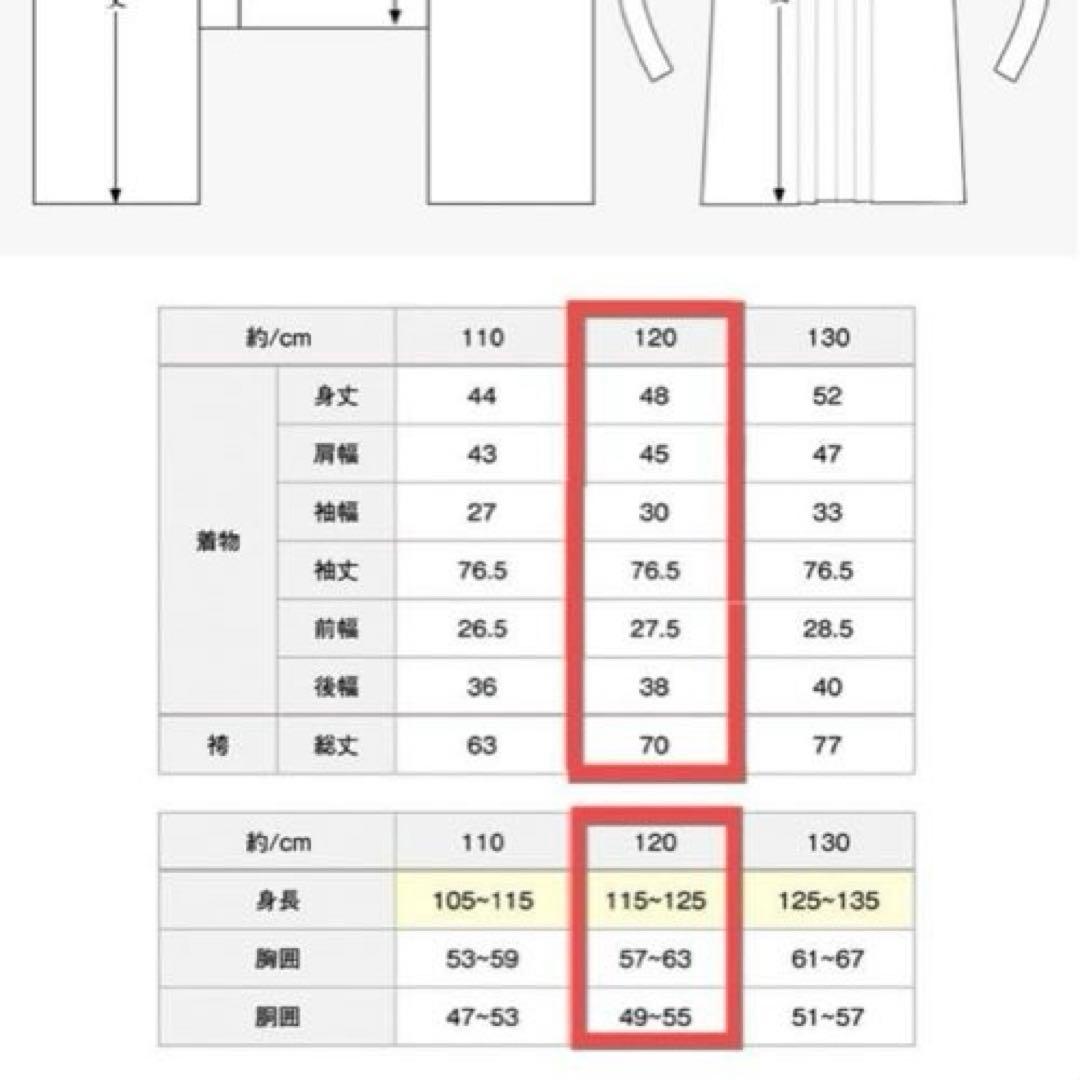 【ほぼ未使用】KYOETSU 袴セット 着付け簡単 藍紫の花絢爛 120cm