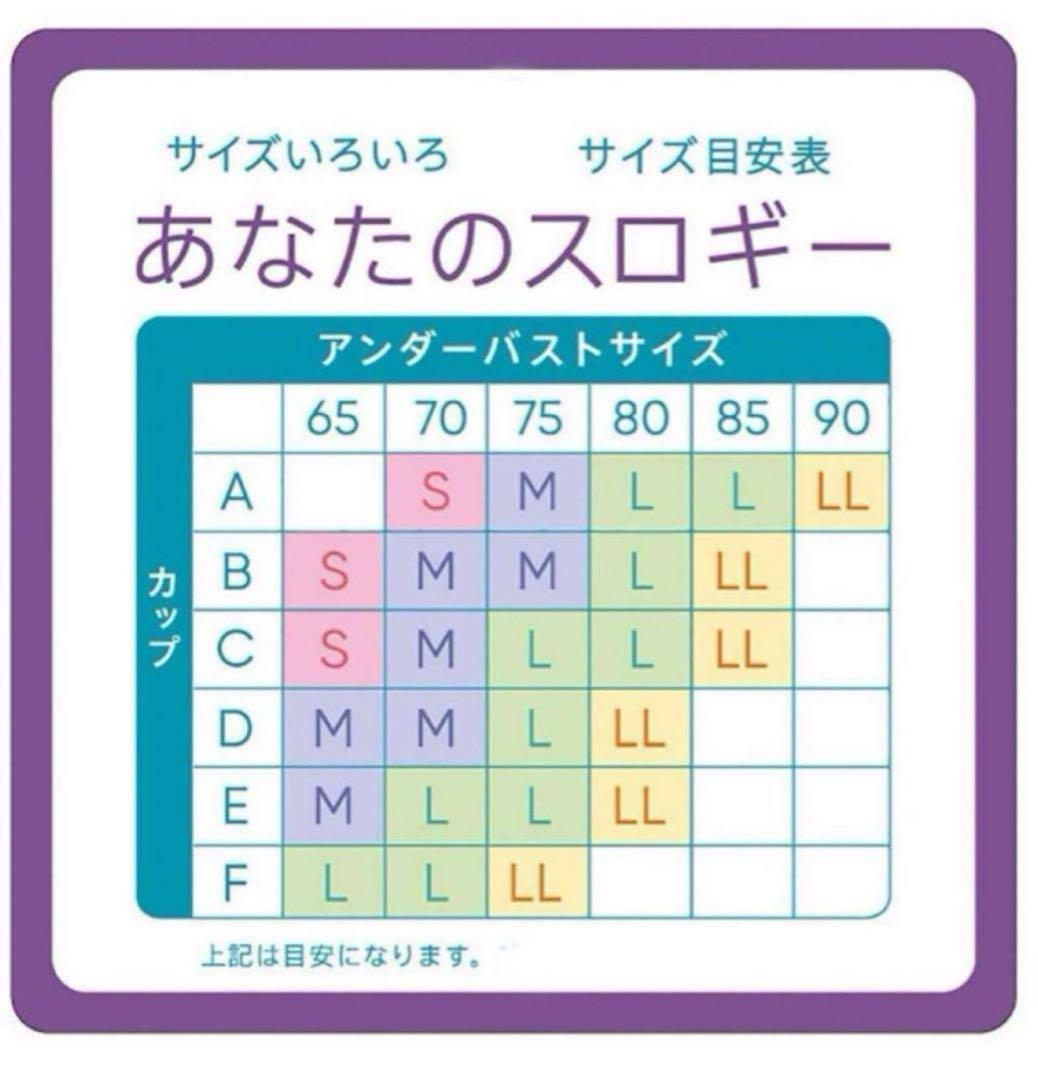 トリンプ スロギー ゼロフィール ブラック＆ライラック LLサイズ 2点
