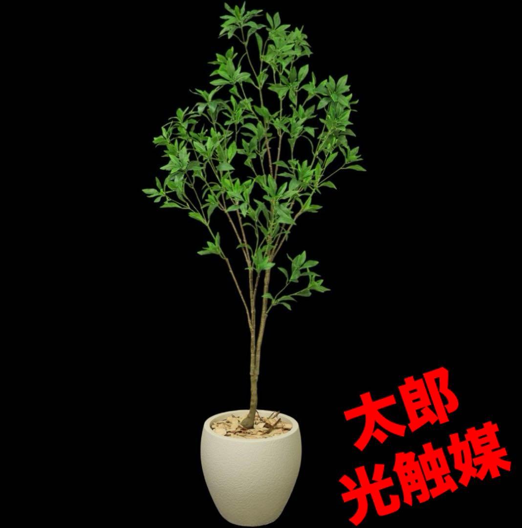 光触媒　人工観葉植物　ウォールグリーン　フェイクグリーン　アセビS8330
