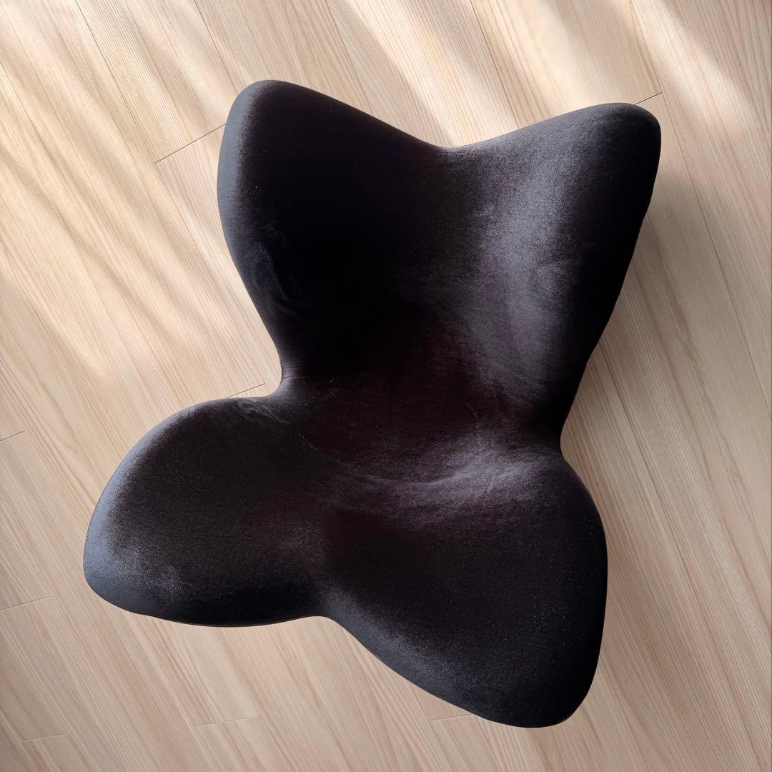 MTG 骨盤サポート座椅子 Style PREMIUM DX 黒