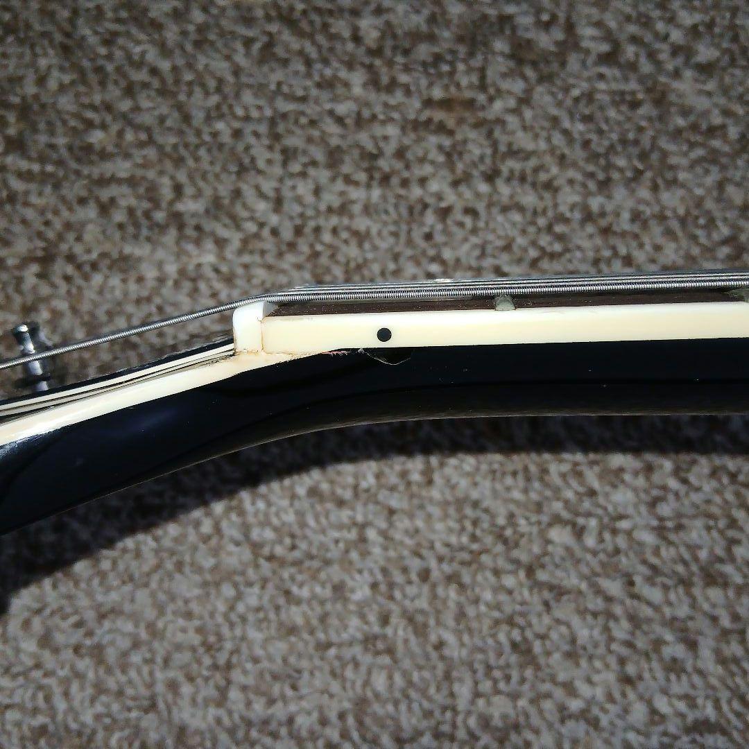 FERNANDES burny RLC-55　付属品付