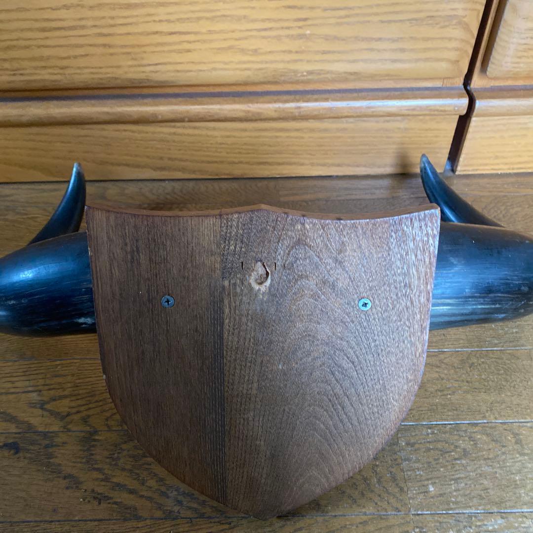 水牛の角？！　置物　壁掛け　インテリア