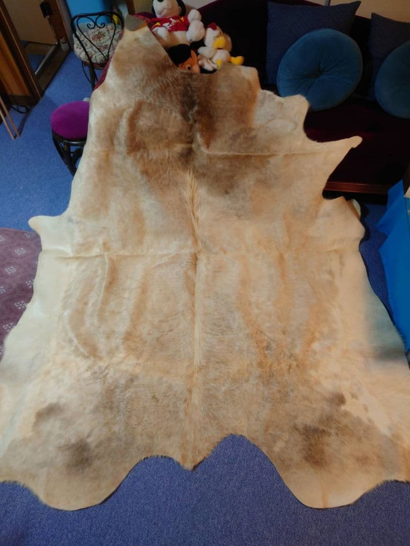 【希少品】敷物　未使用　牛革　大型　本皮　カウラグ　一点もの