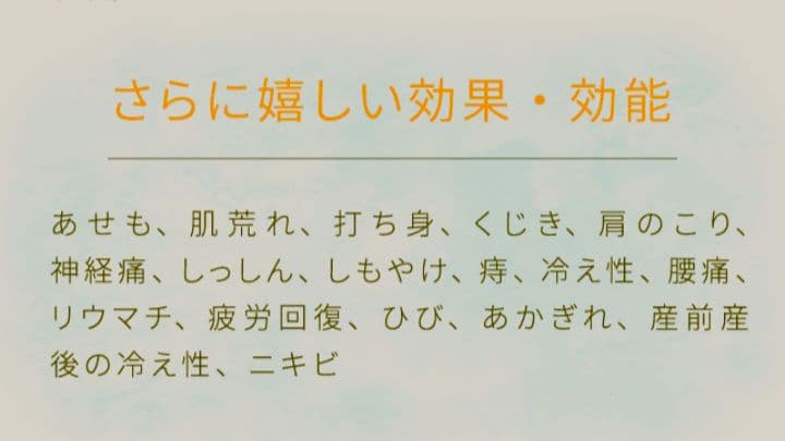【新品未開封】★健康王の重炭酸バス★2袋　ラブワールドマート