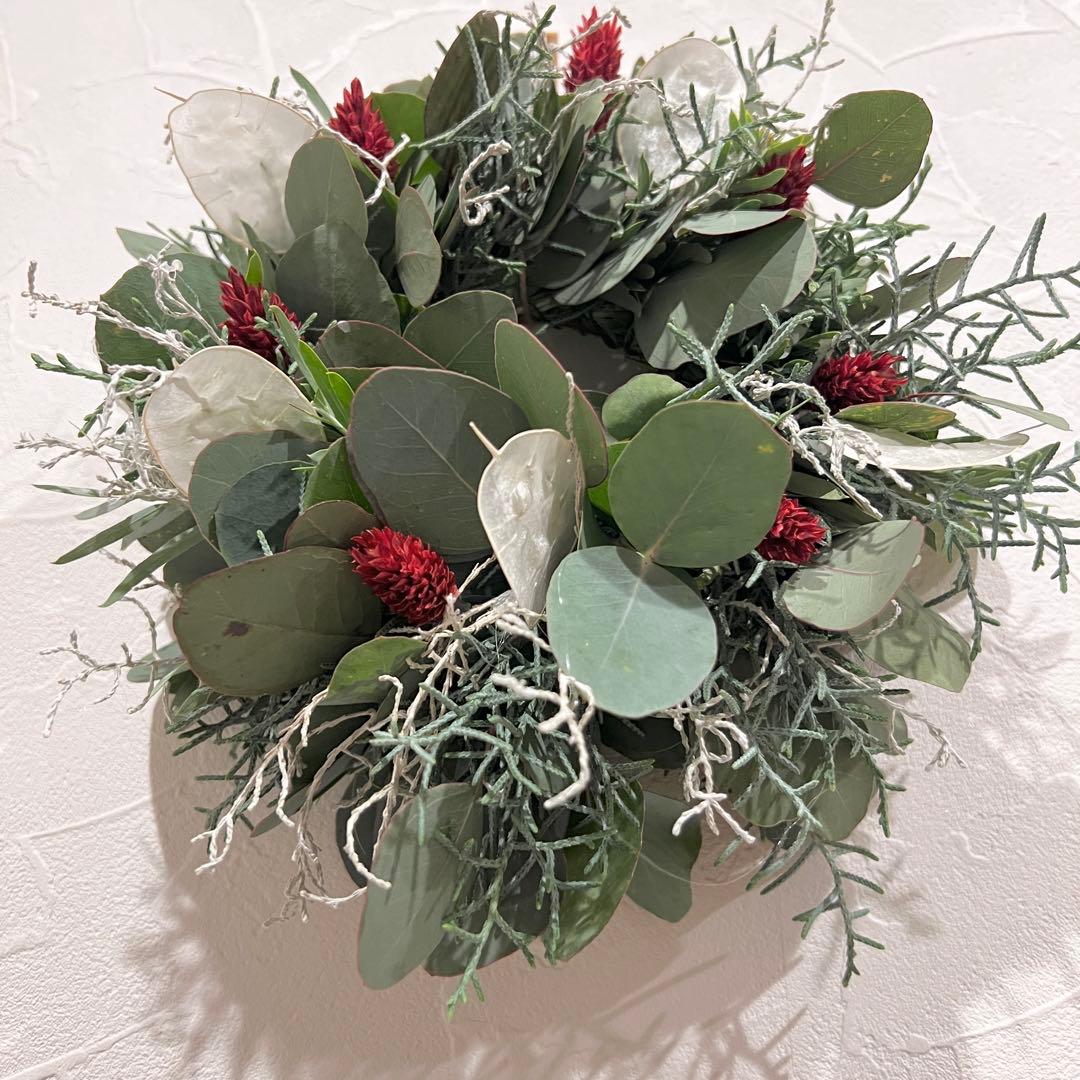 ポポラスとルナリアのクリスマスリース* *ラッピング無料 冬 プレゼント