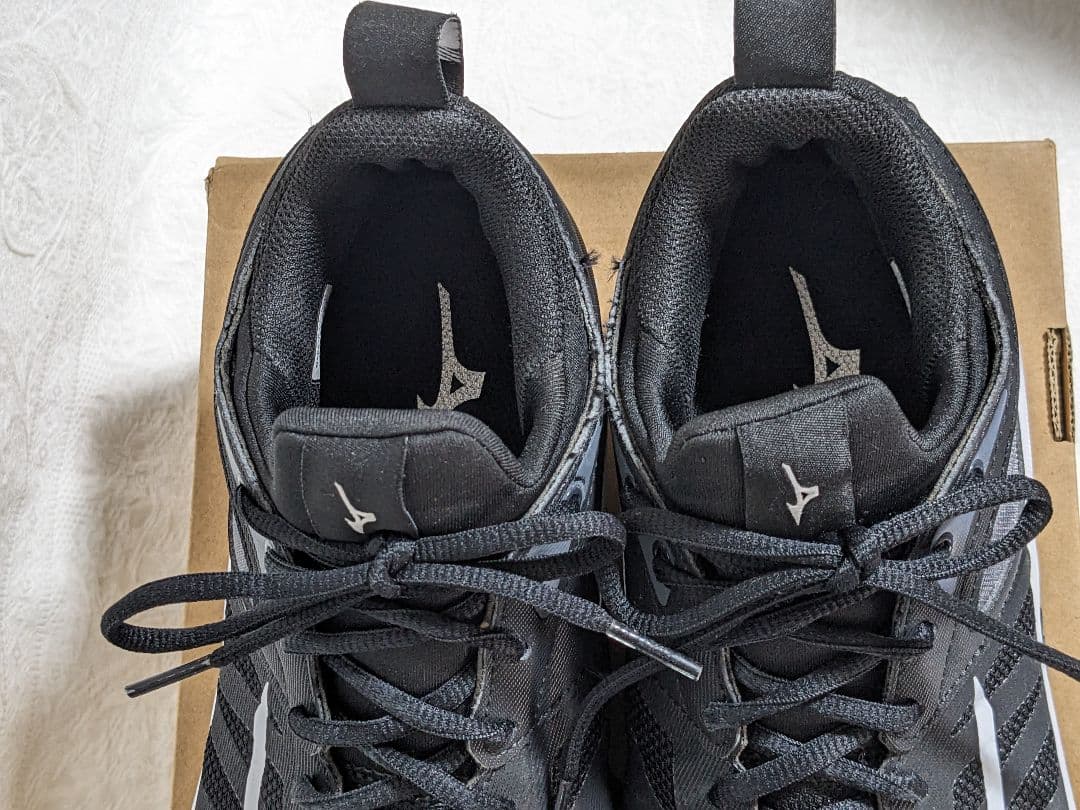シューズ Mizuno Wave Dimension V1GA224001 25.5cm