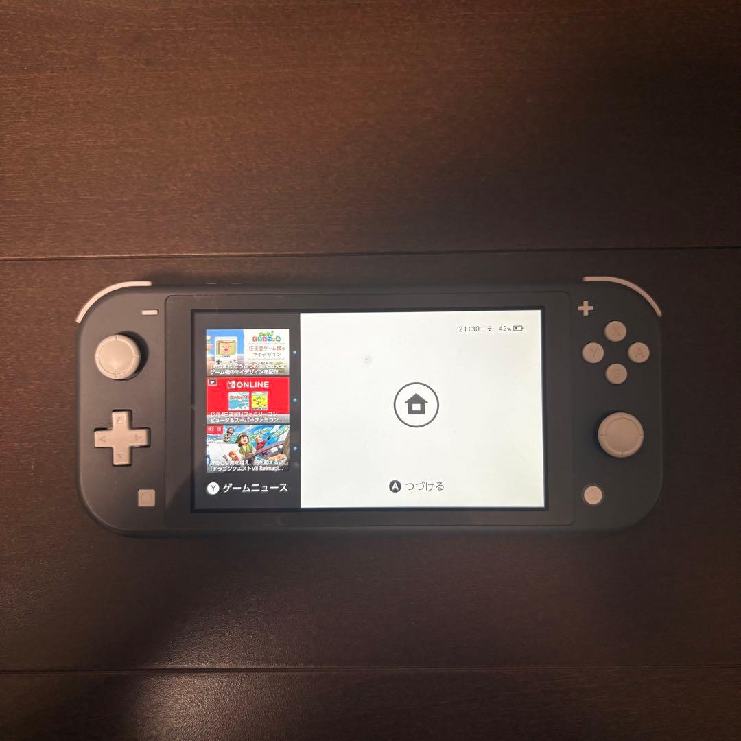 Nintendo Switch Lite グレー 本体 + ポケモンソフト