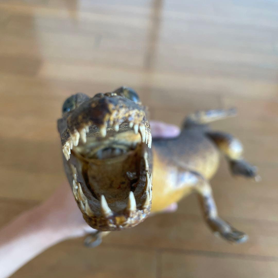 ワニ　置物