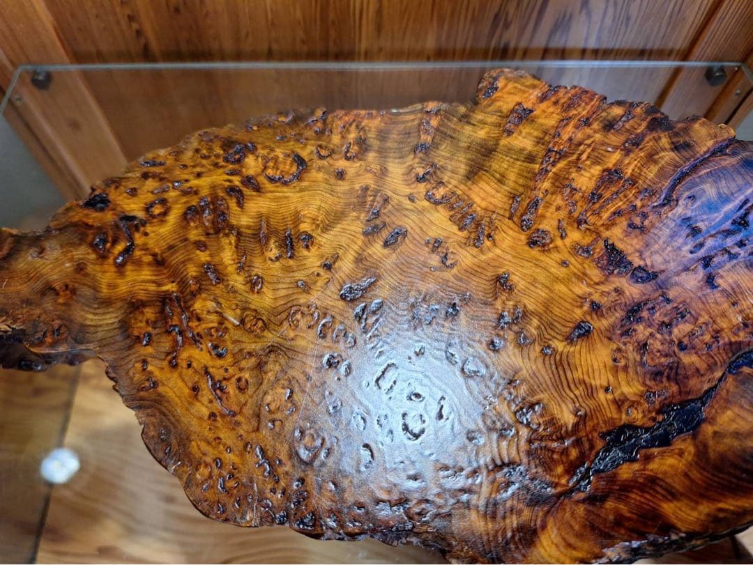 至宝　屋久杉　宝玉　泡瘤台座セット