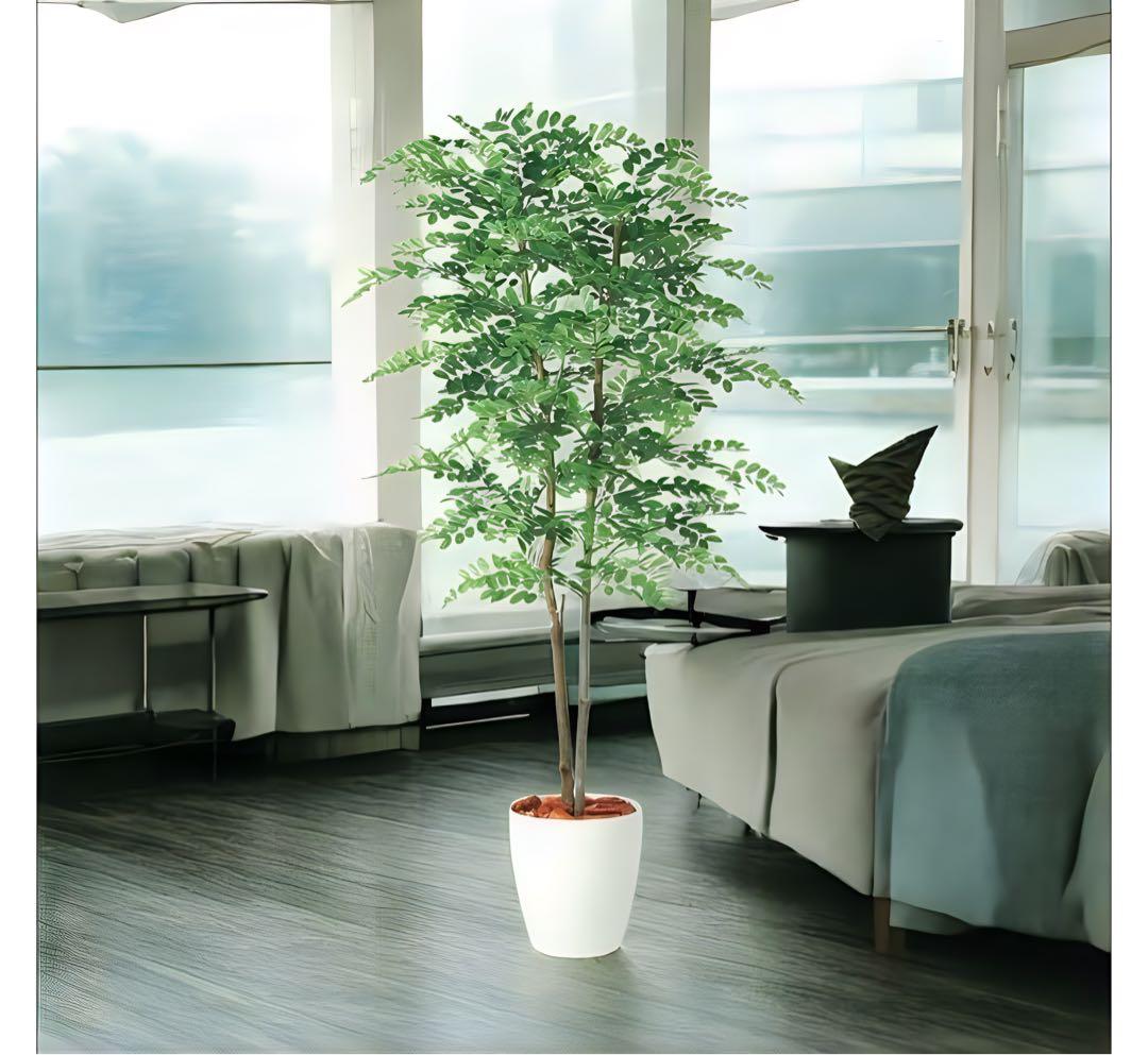 光触媒　人工観葉植物　フェイクグリーン　アカシアディアル150FST
