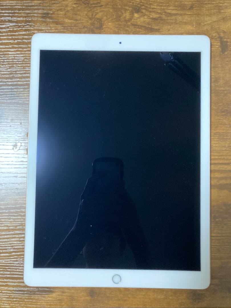 【極美品】ipad pro12.9 2世代　256GB