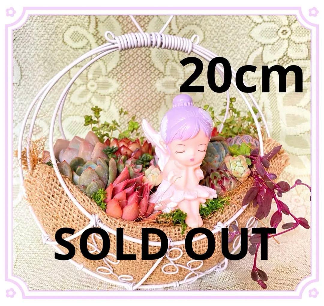 ワイヤーハンギング✿多肉寄せ植え