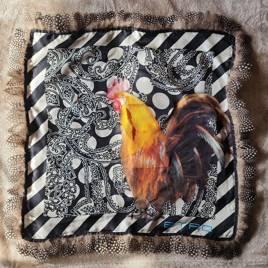 【ETRO】 エトロ シルクスカーフ リアルフェザー付 ペイズリー 鳥 ニワトリ