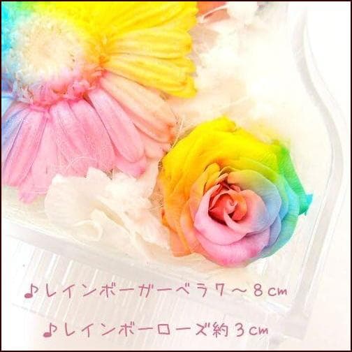 【高級プリザーブドフラワー】レインボーガーベラ×レインボーローズ ピアノ