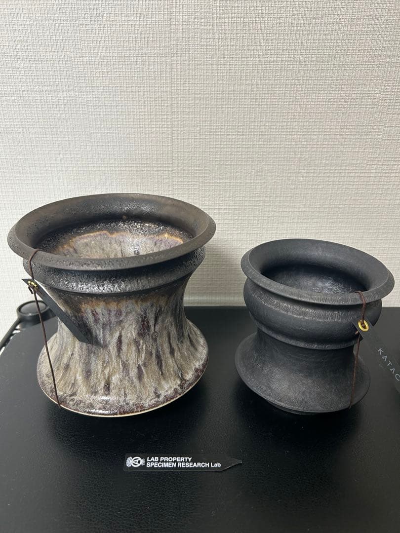 カタチ製作所　鉢セット　SRLおまけ付き　グラキリス　パキプス