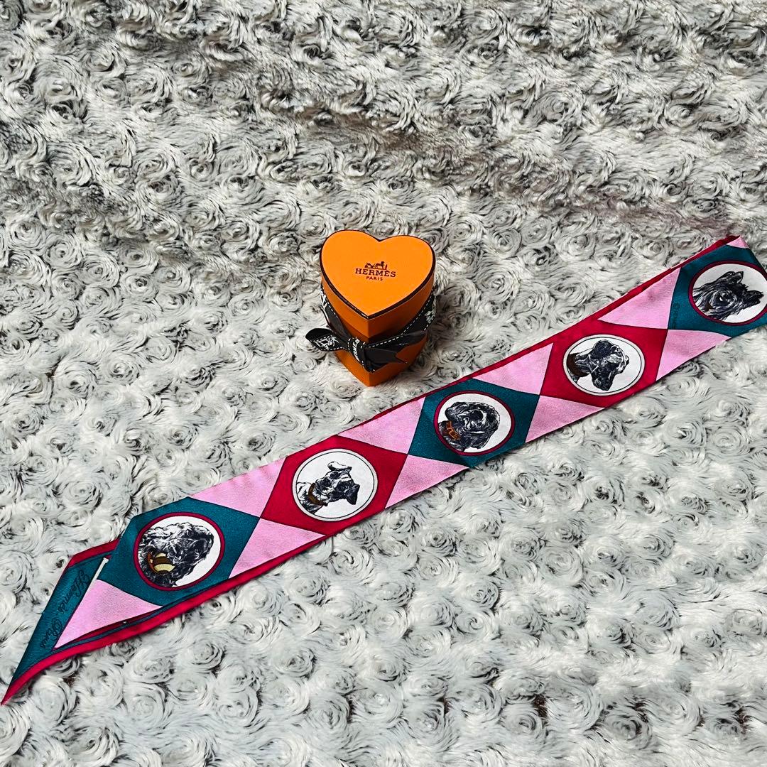 【こうちゃん】HERMES エルメス　コリエ・エ・シアン　ツイリー