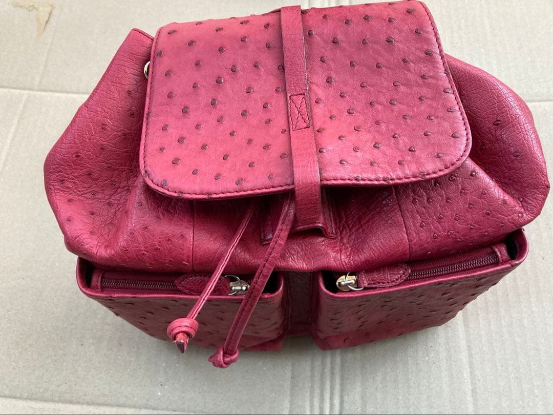 リュック　オーストリッチ　美品