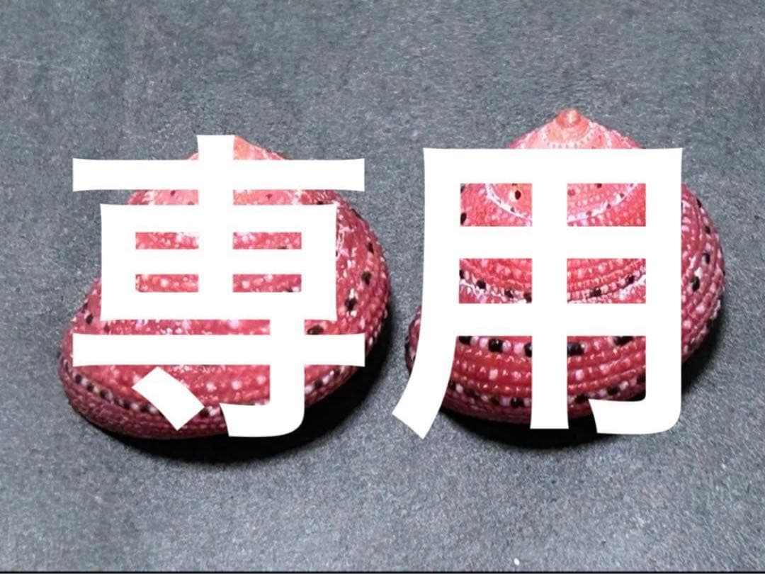 専用　まとめ11点